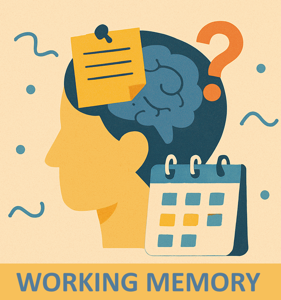 Working Memory